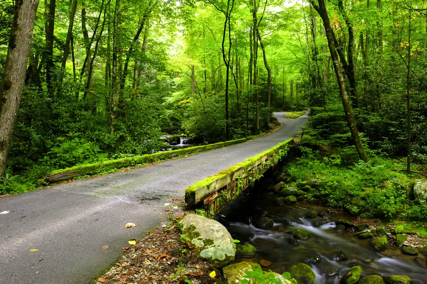 Quiet road beside a mountain stream along a scenic Smoky Mountain drive